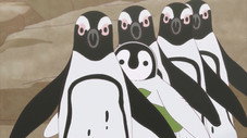 Épisode 10