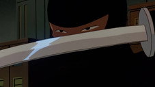 La Nuit du ninja