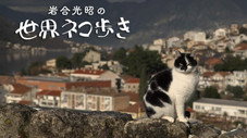 Épisode 146