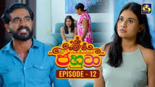 Épisode 12