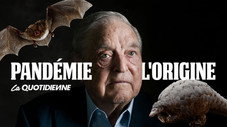Pandémie l'origine