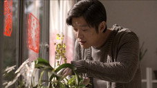 Épisode 29