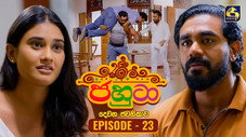 Épisode 23