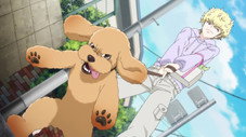 Épisode 1