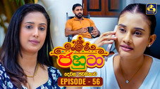 Épisode 56