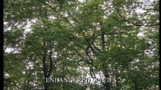 Épisode 10