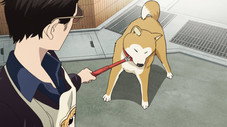 Épisode 10