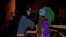 Une chauve-souris dans le clocher