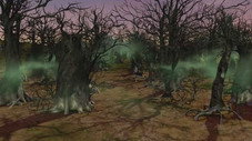 La forêt morte