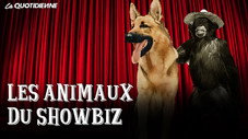 Les animaux du showbiz