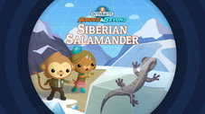 Épisode 5