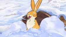 Snow Blanket