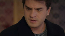 Épisode 824