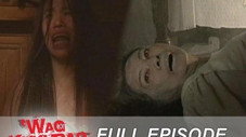 Épisode 1