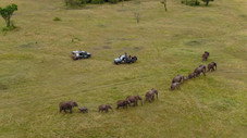 Africa