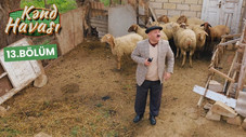 Épisode 13