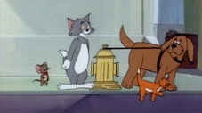 Épisode 29