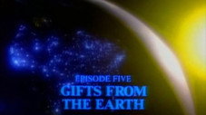 Épisode 5