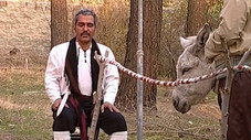 Épisode 45