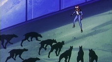 Épisode 7