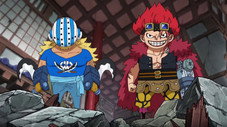 Épisode 5