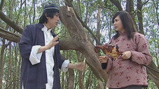 Épisode 9
