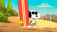 Un chien plein de panache