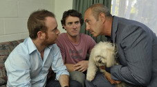 Épisode 7