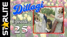 Épisode 25