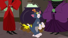 Un amour de crapaud