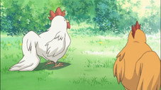 Épisode 12