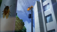 Épisode 11