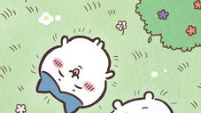 Épisode 141