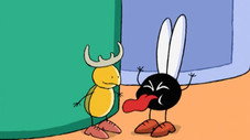 La mouche et le lucane