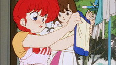 Ranma est tombé sur la tête