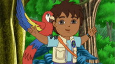 Épisode 9