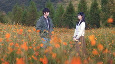Épisode 8