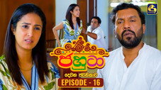 Épisode 16