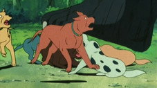 Épisode 19