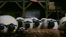 Moutons mécaniciens