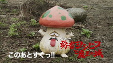 Épisode 11