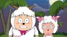 Épisode 508