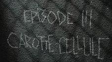 Carotte cellule