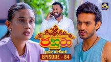 Épisode 84