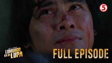 Épisode 2
