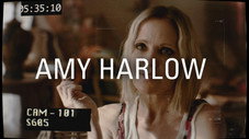 Amy Harlow
