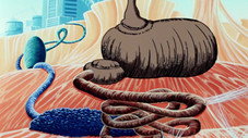 La Digestion