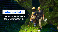 Carnets sonores de Guadeloupe