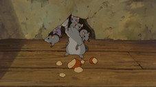 Problème de souris