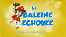 La Baleine échouée